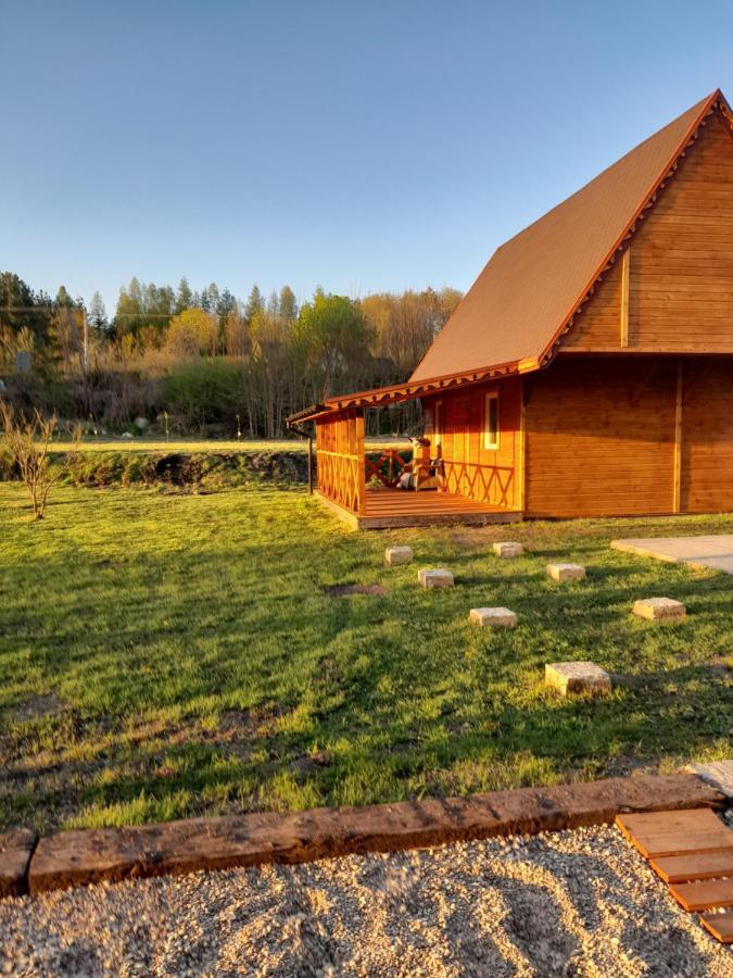 Pensjonat Agroturystyczny Pod Modrzewiem Bed and Breakfast Florczaki Exterior foto