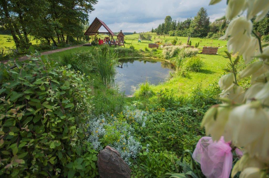 Pensjonat Agroturystyczny Pod Modrzewiem Bed and Breakfast Florczaki Exterior foto